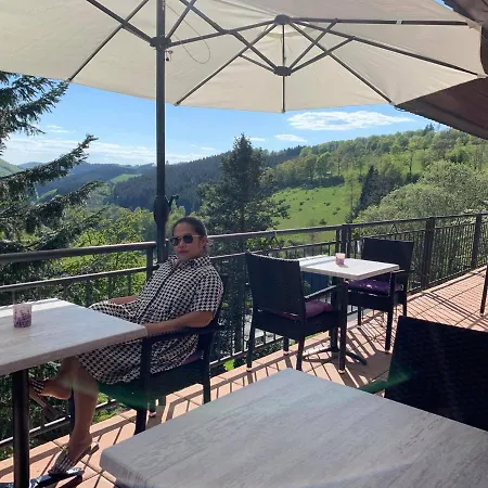 Hotel Nordenau 3*