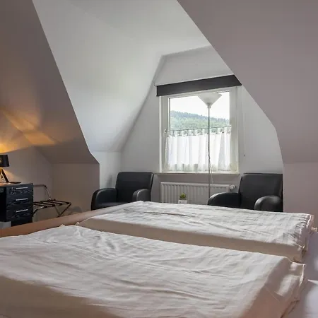 Hotel Nordenau 3*