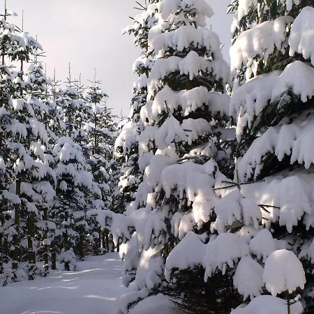 Nordenau Hotel Schmallenberg