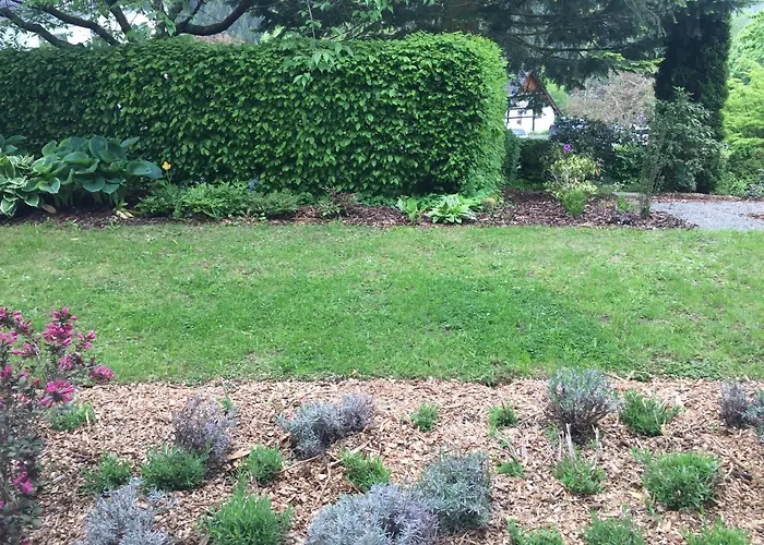 Nordenau 3* Schmallenberg