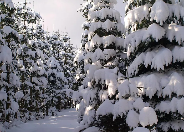 Nordenau Otel Schmallenberg